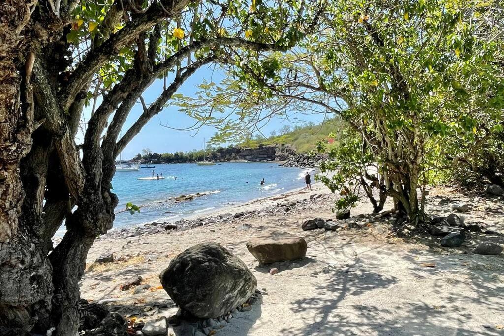 Location Gite Bungalow A 70M De La Plage Bouillante Exterior foto